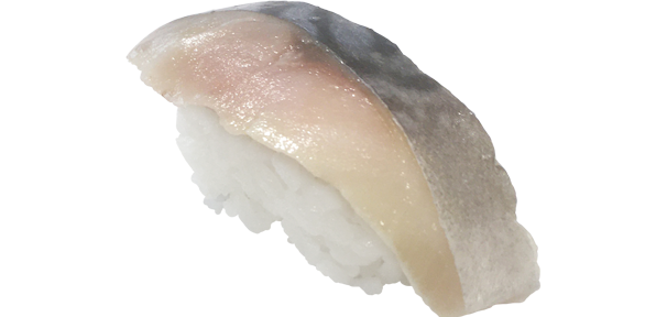 mackerel