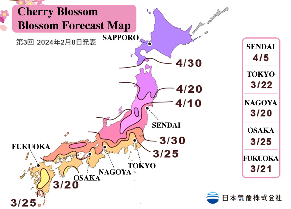 Japan Cherry-Blossom-Blossom-Forecast-Map