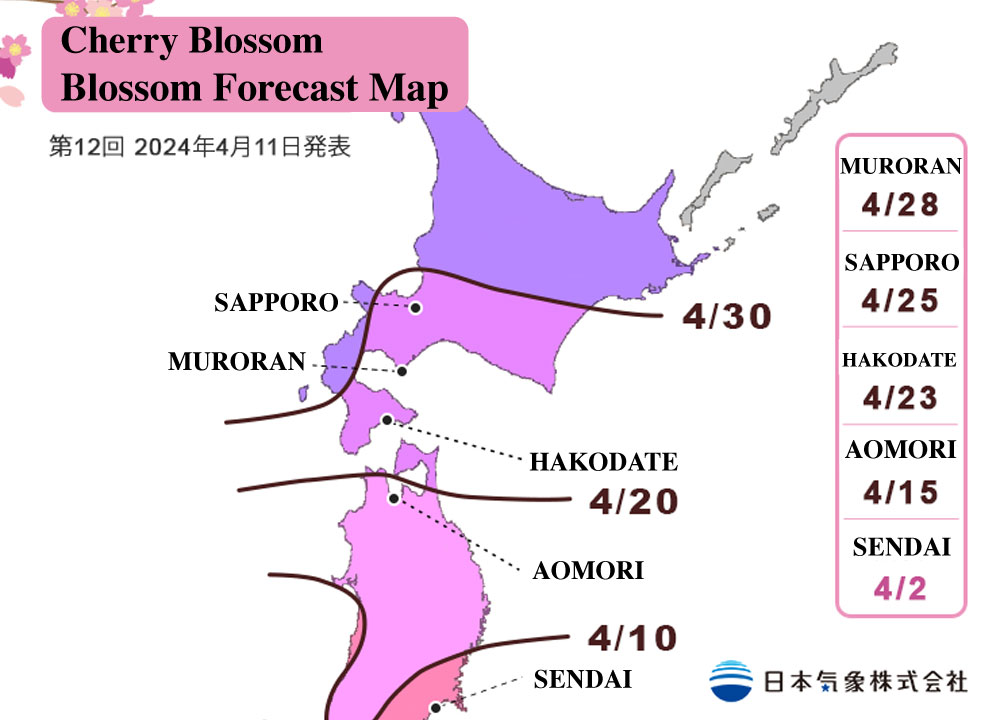 Japan Cherry-Blossom-Blossom-Forecast-Map